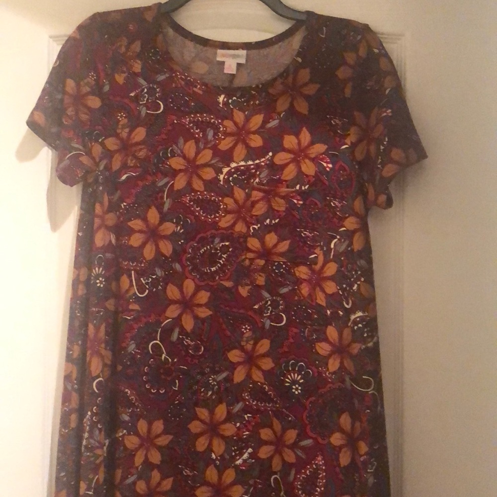 Lularoe Carly fall colors dress